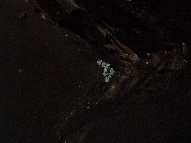 DSC00505.JPG