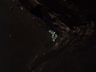 DSC00505.JPG