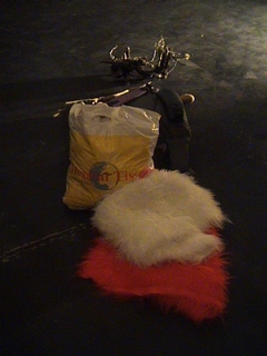 DSC00500.JPG