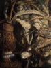 DSC00011.JPG