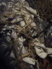 DSC00012.JPG