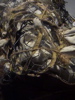 DSC00013.JPG