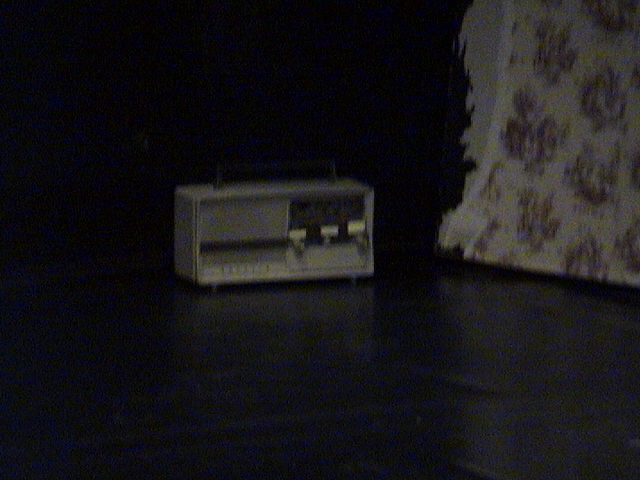 DSC00009