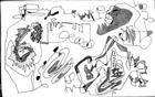 diagrame 3