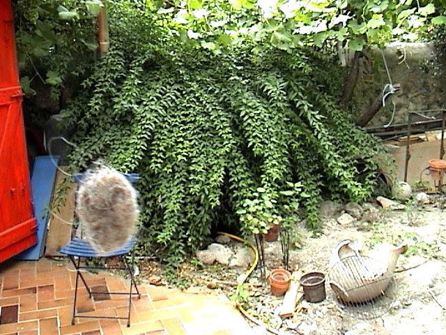 DSC00007.JPG