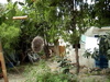 DSC00005.JPG