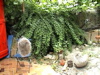 DSC00007.JPG
