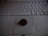 DSC00009.JPG