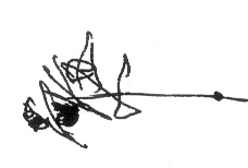 nd04
