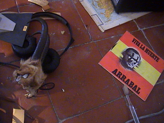 DSC00014.JPG