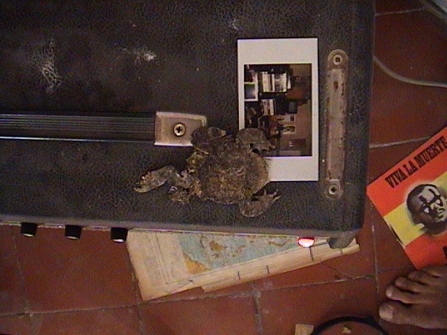 DSC00016.JPG