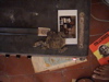 DSC00016.JPG