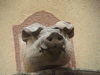 DSC00009.JPG
