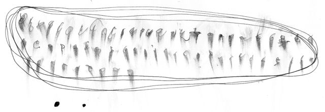 Untitled 11