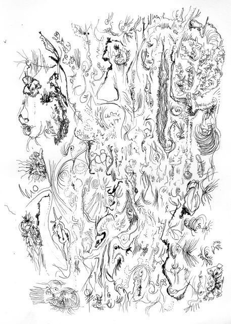 Untitled 32