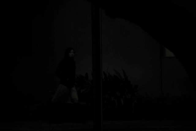 IMG_4460