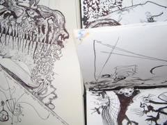 ond_01 - 08