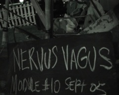 nv_fest_off - 12