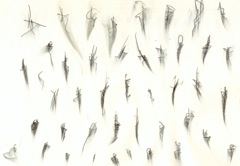 Untitled 10