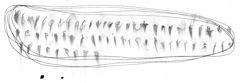 Untitled 11