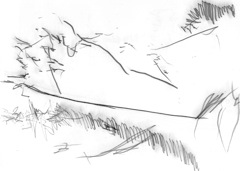 Untitled 6