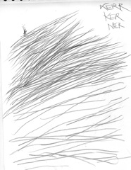 Untitled 7
