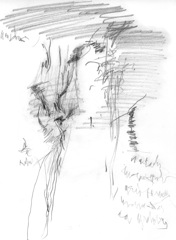 Untitled 8